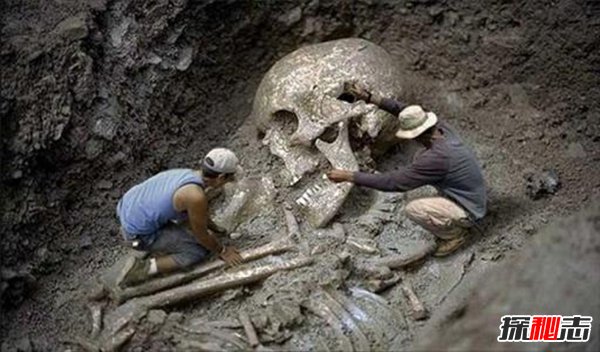 古代有巨人吗,中外都挖出过古巨人遗骸