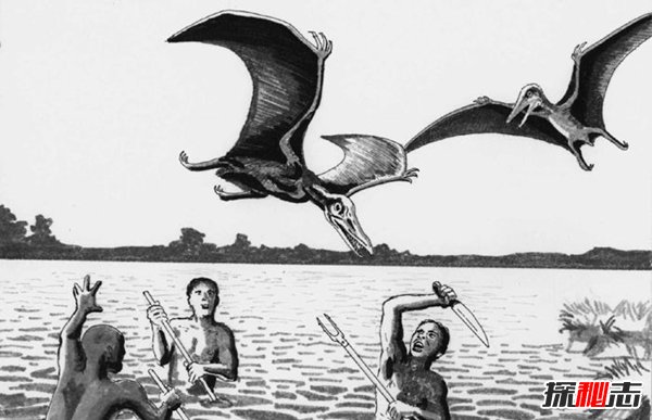 世界十大未知吃人生物,巨型大鸟将孩童从6米高丢下(残忍至极)