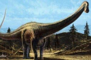 史上最大的恐龙，阿根廷龙长40米重达100吨(一天长80斤)