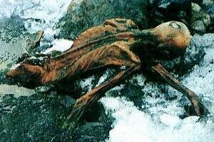 世界上保存最完整的木乃伊冰人奥茨，尸体5300年不腐
