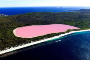塞内加尔玫瑰湖，看起来就十分浪漫的求婚圣地(细菌所致)
